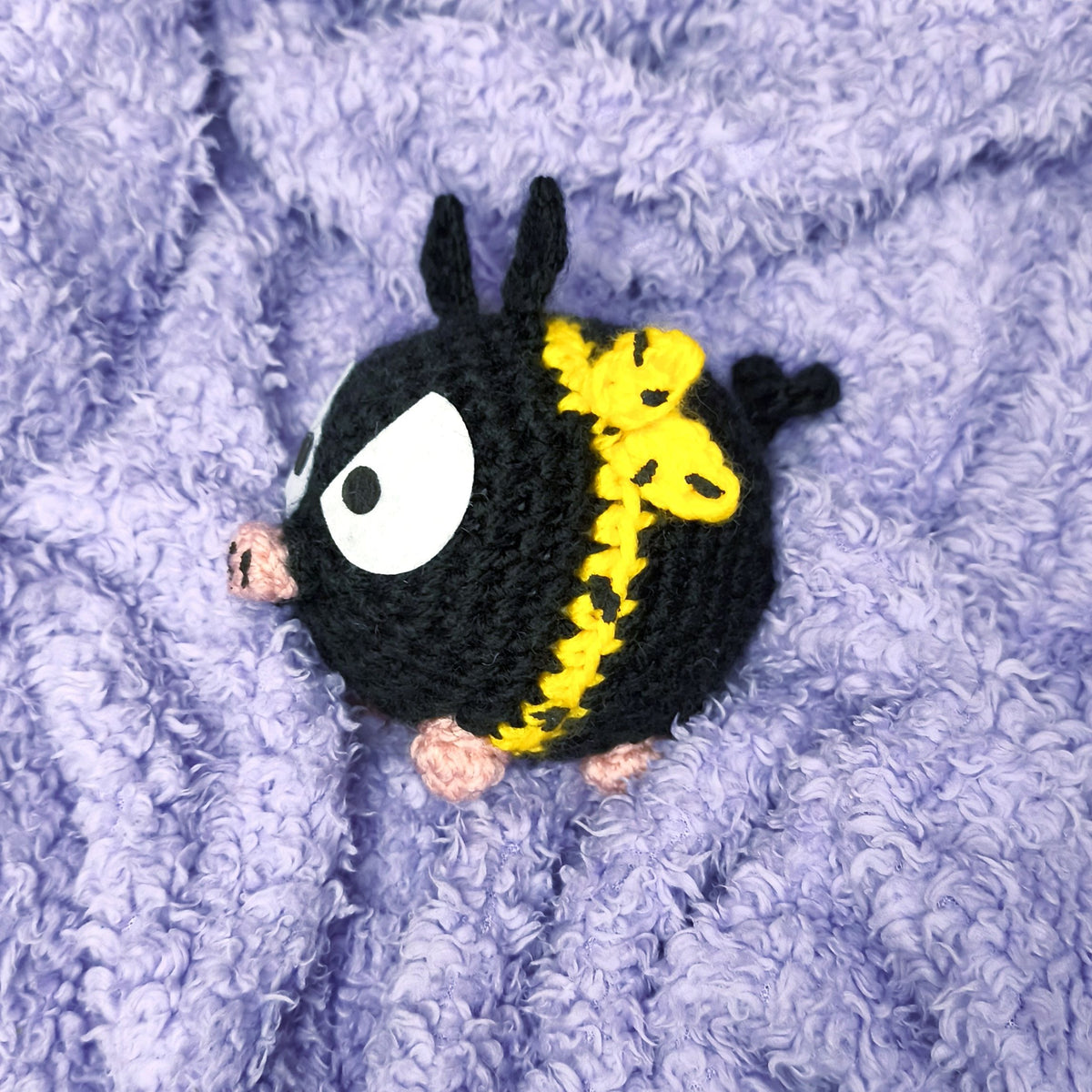 Black Pig