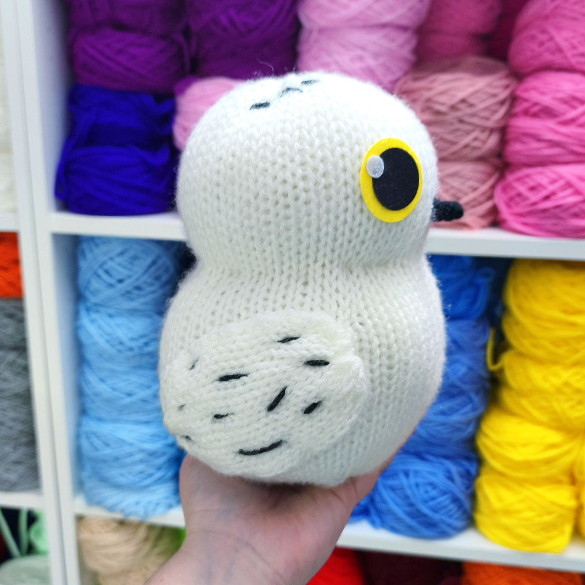 White Messenger Owl
