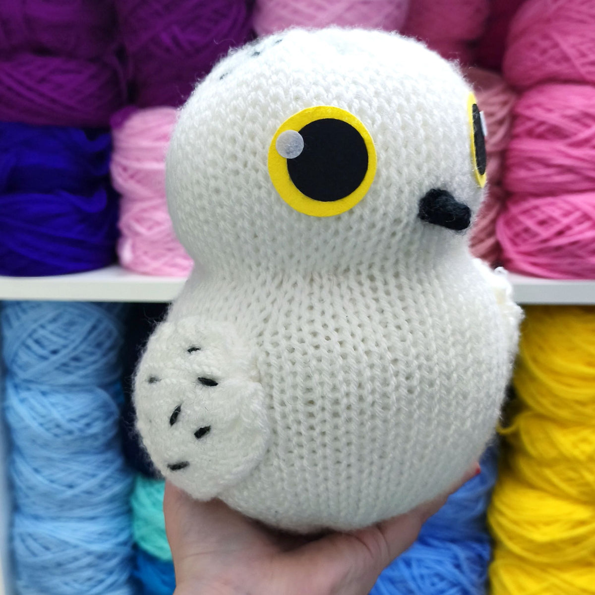 White Messenger Owl