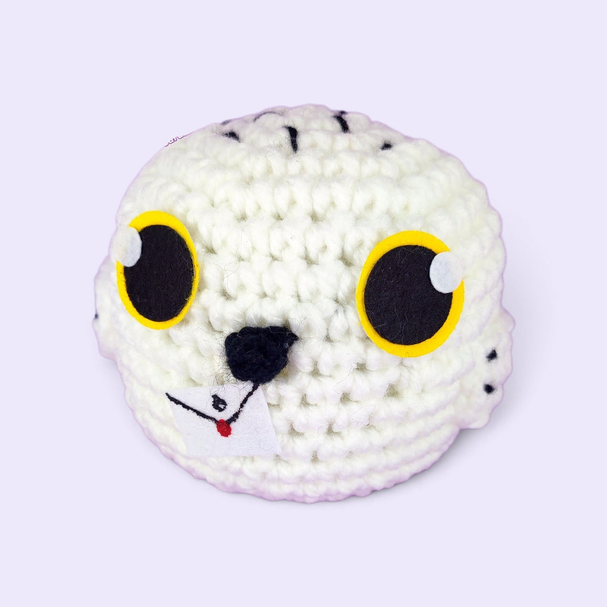 Barn Owl