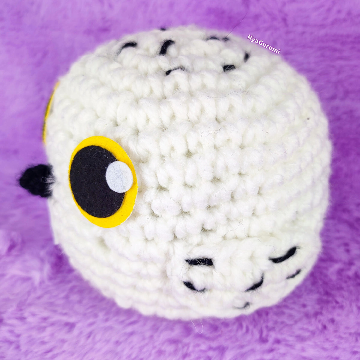 Barn Owl