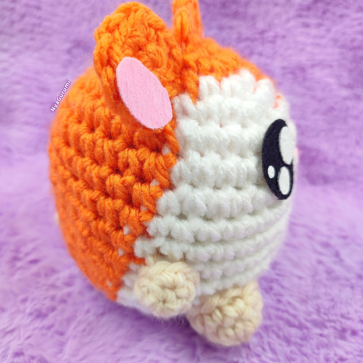 Adventurous Hamster